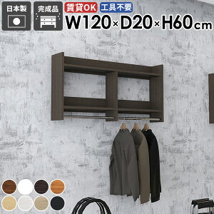 壁掛けラック ウォールハンガーラック ベッドルーム ディスプレイ 家具 衣類収納 場所 容量 収納棚 パイプハンガー 取り付け 石膏ボード 洗面所 雰囲気 おすすめ スリム コート コート掛け