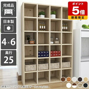 {I e VFt I { R~bN bN s25 ɖ{  gsv ؐ ȏ fBXvC A4 { pg[ [ fBXvCbN  I[vbN Y k i  