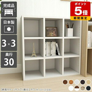 fBXvCbN  ^ J[{bNX 3i {I fBXvCVFt  A4 { zCg ȏ R~bN s30cm   ؐ }K ɖ{ i { fBXvC 