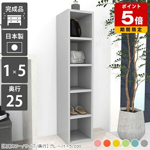 {I X 5i XbN Ԏ[ bN I ؐ [I ʏ Ԏ[ rO[ i fBXvCbN s25 }K O[  a4  ȃXy[X s25cm G 