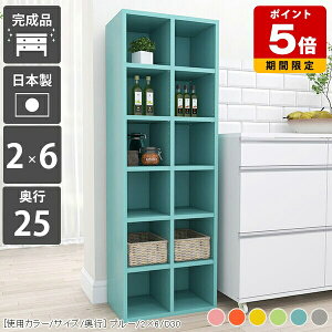 本棚 コンパクト a5 雑誌 絵本 収納 カラフル ラック 棚 リビング収納 ディスプレイラック 完成品 組立不要 コミック 奥行25 スリム 収納棚 グレー おしゃれ 教科書 子供 パステル 一人暮らし a