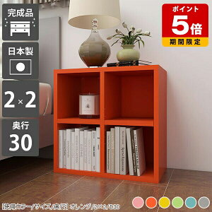 fBXvCbN ^ ~jbN {I ɖ{ I[vbN 2i  ؐ I  bN [^Cv Ⴂ { }K a4 s25cm rO[ i ^{ a5 I R~b