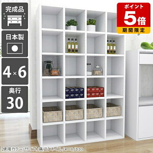 {I   [I A4 { ʎdグ gsv ubNVFt  e G   i I[vbN ɖ{ VFt  rO[  fBXvCbN z