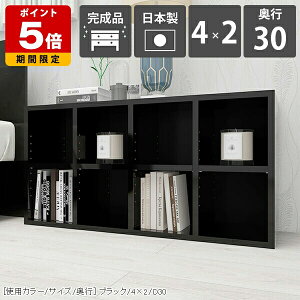 ラック 本棚 ロータイプ 完成品 高級感 オフィス オープンラック ディスプレイラック 低め 文庫 2段 カラーボックス 棚 北欧 A4 文庫本 おしゃれ 収納棚 黒 日本製 書類 ブックシェルフ 収納