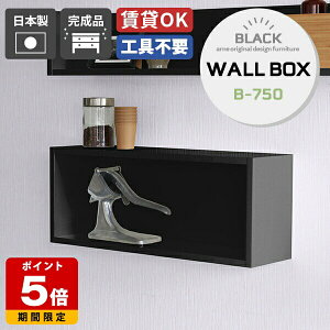 壁掛け 棚 おしゃれ ウォールシェルフ ブラック 石膏ボード 本棚 壁面収納 日本製 取り付け シェルフ 壁掛け棚 キッチン 賃貸 黒 トイレ ラック ウォールボックス ディスプレイラック リビン