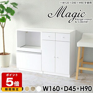 Lb`JE^[  WbN 160 e[u { i Lrlbg [^Cv RZgt HI zCg XCh JE^[ [  W ^WΉ  