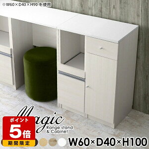 Ƒ Lb` l炵 Lrlbg  s40cm WbN RZgt X HI RpNg W i [ o ؐ  t ^W Lb`Lr