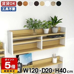 EH[VFt 120cm X bN VFt EH[bN Ǌ|[ fBXvCbN ^bN k ItBX Lb` rO[ q  I fBXvCI 