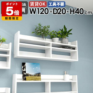 EH[VFt XbN VFt zCg  EH[bN 120cm Ǌ|[ fBXvCbN  ^bN k  Lb` rO[  I [I 