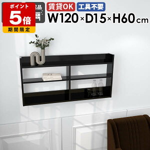 EH[VFt EH[bN Ǌ|[ fBXvCbN  120cm k X ^bN ubN   ze Lb` rO[ Q  I ǖ VFt 