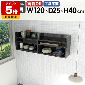 Ǌ|bN EH[VFt fBXvCbN 嗝Ε ubN  ^ X [ 120cm Ǌ|[ rO[ I VFt I ǖ t   k ItBX L