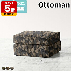 Ibg} l| `FA RpNg Xc[ [Xc[ t@ubN [\t@[ Vv ʍ30cm ЂƂ肪 Y u Ⴂ |  \t@ 1P  { r[