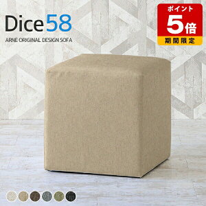 Xc[ _CjO 傫 k  lp XNGA GgXXc[ \t@ 58cm  hbT[֎q wȂ `FA { r[ ItBX ubN rbOXc[ O