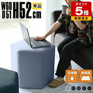 Xc[  fj  i C 60cm {  hbT[ 1l|  r[`FA u l炵 JtF `FA _CjO ֎q \t@[ SݓX x` 60 u