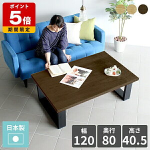 [e[u 傫 a e[u _  Z^[e[u k ڃe[u ItBX ؐ 40cm 120 _CjOe[u EH[ibg C  2l  [fXN p\R 12