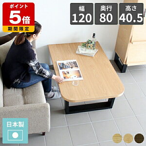 [e[u 傫 40cm C ap e[u ؐ 120  k p O  Z^[e[u ` JtFe[u lp {  40cm  ڃe[u _ a 