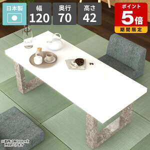 Z^[e[u 2l| [e[u R[q[e[u k  zCg p\RfXN [^Cv  lp { 120cm s70cm rOe[u VvfXN \t@[