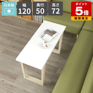 _CjOe[u 120cm He[u rO_CjO \t@[e[u  lp  zCg 2l| JtFe[u rOe[u ƃXy[X Ƒ [Ne[u