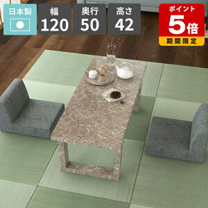 Z^[e[u 2l| [e[u R[q[e[u k  O[ 嗝Β p\RfXN [^Cv  { 120cm s50cm rOe[u VvfXN \t@