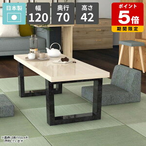 [e[u  rOe[u p\RfXN  Ƒ 2l| \t@[e[u  zCg 120cm Z^[e[u He[u JtFe[u { [^Cv 