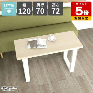 _CjOe[u 120cm He[u rO_CjO \t@[e[u  lp  zCg 2l| JtFe[u rOe[u ƃXy[X Ƒ [Ne[u