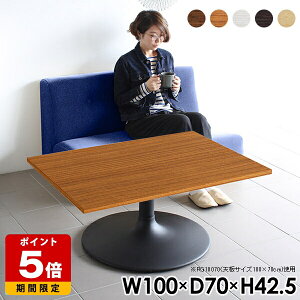 Z^[e[u k \t@e[u [e[u `  JtF e[u 100 JtFe[u l炵 70cm 1{r rOe[u lp  ؖ zCg  RpN