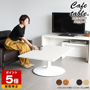 [e[u 120 傫 `  k \t@e[u 120cm JtF e[u JtFe[u l炵 Z^[e[u   _ R[q[e[u { ڃe[u