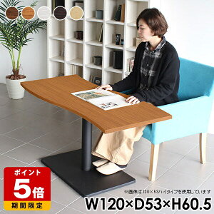 JtFe[u s53  120cm fUCe[u ؐ rOe[u k  60cm R[q[e[u { 1{r eB[e[u {r nCe[u TChe[u e