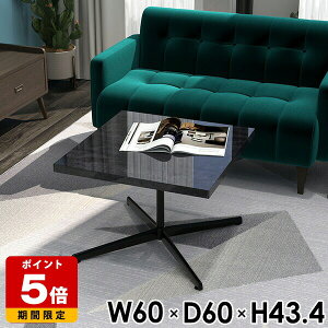 [e[u  JtFe[u lp rOe[u `  60cm  TChe[u  \t@[e[u ~je[u Ⴂ ubN   嗝Ε   e