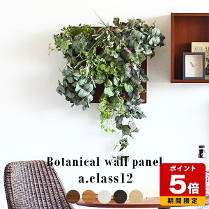 ϗtA tFCNO[ Ǌ| tFCN O[pl lHϗtA   j rO CeA JXj A G}  A[g c^   񂹐A C v