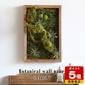 lHϗtA v[g G}   Ǌ| A tFCNO[ zj AW CeA Ǐ A[gt[ JXj Mtg A[eBtBVt[  