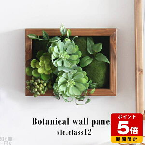 ϗtA  CeA G} tFCNO[ Ǌ| o j  gC KN  JtF ze r[  傫 v[g O[A[g tFCNt[   l