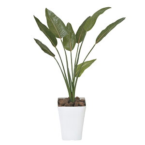 lHϗtA G} ϗtA CeA Xg`A1.1 110cm A[gO[ tFCNO[ ̊y lHA lA lH  L R h zAfqh  C