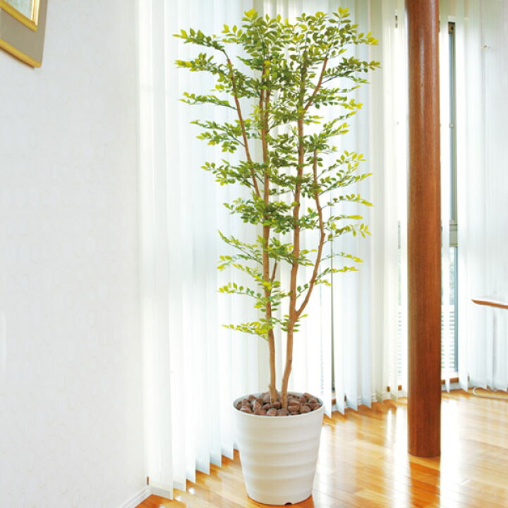 楽天市場】観葉植物 大型 フェイクグリーン 人工観葉植物 光触媒 