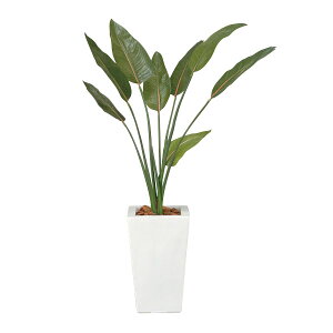 lHϗtA G} ϗtA CeA lHA Xg`A 120cm A[gO[ tFCNO[ ̊y lH  L R h zAfqh   C A