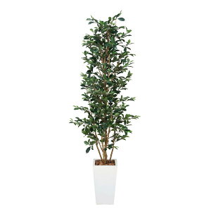 観葉植物 人工観葉植物 ガジュマルの人気商品 通販 価格比較 価格 Com