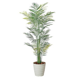 tFCNO[ lHϗtA G} ϗtA ^ CeA 傫 lHA gsJAJp[ 180cm A[gO[ ̊y lH  L R h zAfq