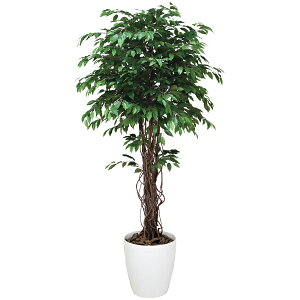フェイクグリーン 光触媒 人工観葉植物 観葉植物 大型 インテリア 大きい 人工植物 ベンジャミンリアナ 高さ180cm アートグリーン 光の楽園 人工樹木 造花 消臭 抗菌 防汚 ホルムアルデヒド