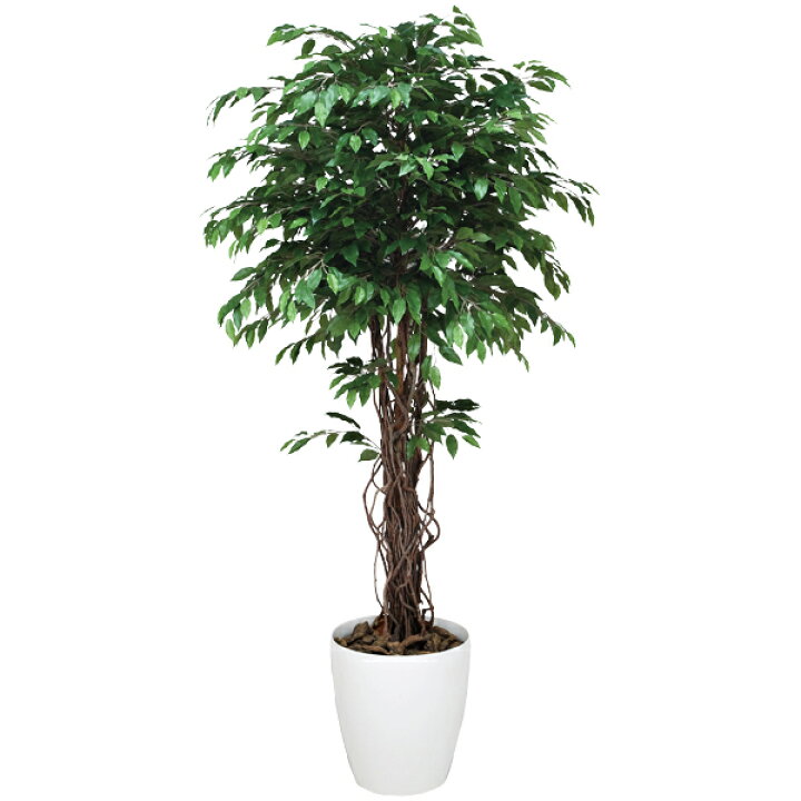 楽天市場 フェイクグリーン 光触媒 人工観葉植物 観葉植物 大型 インテリア 大きい 人工植物 ベンジャミンリアナ 高さ180cm アートグリーン 光の楽園 人工樹木 造花 消臭 抗菌 防汚 ホルムアルデヒド 分解 植物 観賞 インテリアグリーン フェイク グリーン 緑 美容室