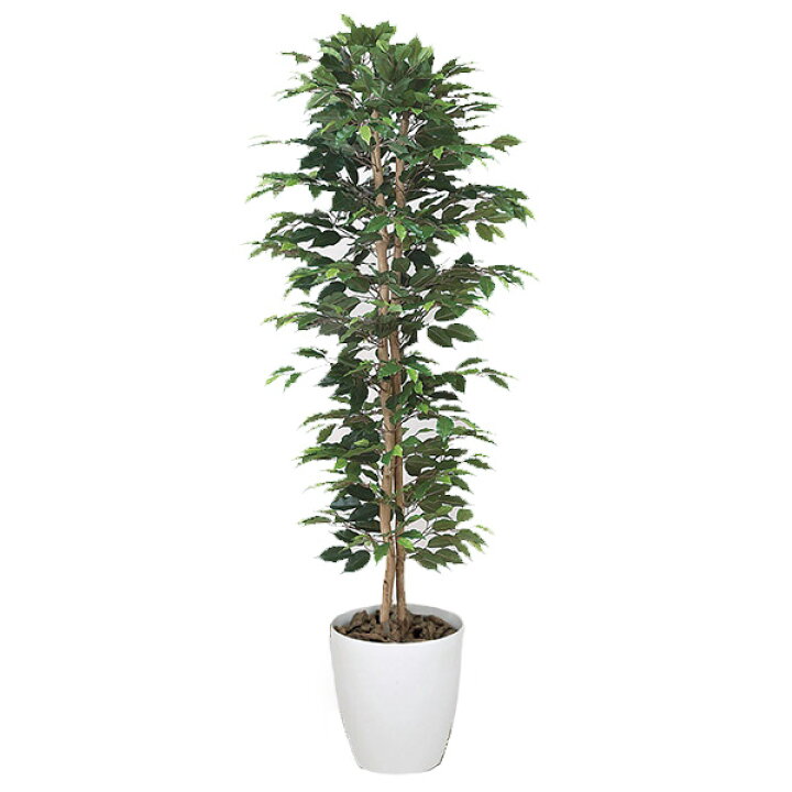 楽天市場 フェイクグリーン 人工観葉植物 光触媒 観葉植物 大型 インテリア 大きい 人工植物 ベンジャミンスリム 高さ160cm アートグリーン 光の楽園 人工樹木 造花 消臭 抗菌 防汚 ホルムアルデヒド 除去 分解 空気浄化 植物 観賞 インテリアグリーン フェイク アーネ