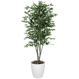 tFCNO[ lHϗtA G} ϗtA ^ CeA lHA xW~c[ 180cm A[gO[ ̊y lH  L R h zAfqh  