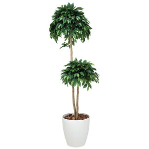 tFCNO[ lHϗtA G} ϗtA ^ CeA 傫 lHA xW~_u 180cm A[gO[ ̊y lH  L R h zAfqh 