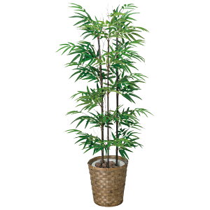 tFCNO[ lHϗtA G} ϗtA CeA lHA | (/VR|) 120cm A[gO[ ̊y Vzj v[g Fl   L R h zAf