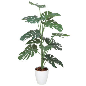 A CeA Ϗ lHϗtA G} ϗtA lHA Xe1.2 120cm A[gO[ tFCNO[ lA ̊y lH  L R h zAfqh 