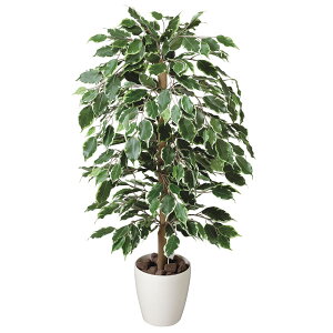 A CeA Ϗ lHϗtA G} ϗtA lHA S[ftBJX 100cm A[gO[ tFCNO[ ̊y lH  L R h zAfqh 