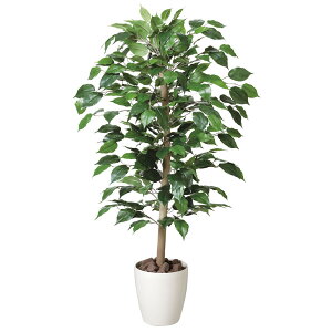 A CeA Ϗ lHϗtA G} ϗtA lHA xW~ 100cm A[gO[ tFCNO[ ̊y lH  L R h zAfqh  C