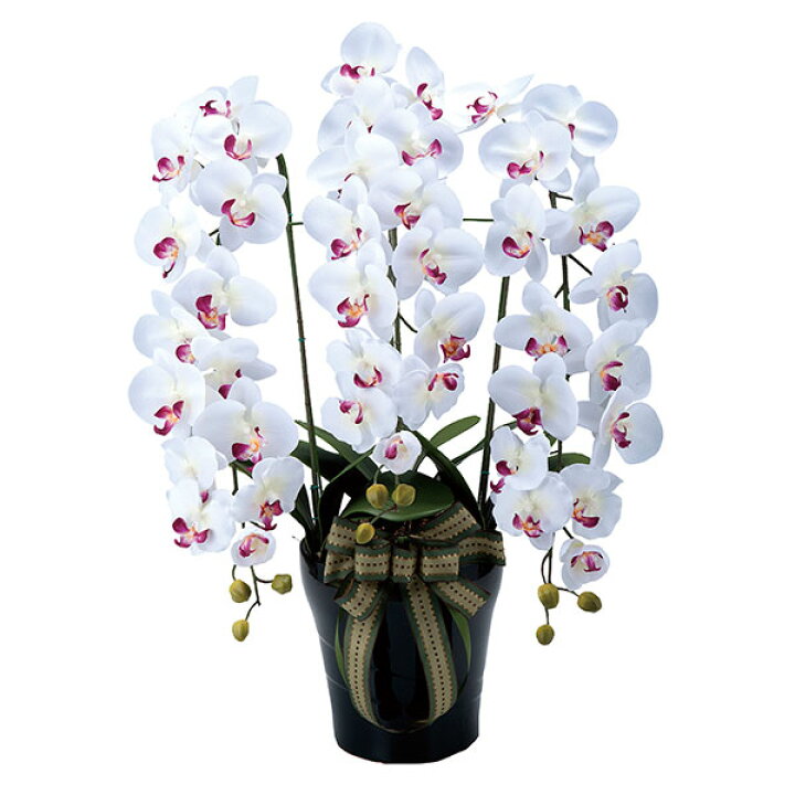 楽天市場 ロイヤル胡蝶蘭l 光触媒 造花 観葉植物 インテリア アートフラワー 人工観葉植物 フェイクフラワー 光の楽園 人工植物 空気清浄 フェイクグリーン 空気浄化 お祝い 開店祝い 花 フラワーギフト ギフト 花束 鉢植え お花 新築祝い プレゼント 友人 結婚祝い