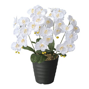 GWFӒW G} t[  ϗtA ~j CeA A[gt[ tFCNO[ lHϗtA tFCNt[ ̊y lHA A JXj j  t[