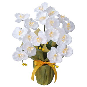 ~fBӒW G} t[  ϗtA ~j CeA A[gt[ tFCNO[ lHϗtA  tFCNt[ ̊y lHA JXj j C G 