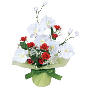 uCgR`E G}  ϗtA ~j CeA A[gt[ lHϗtA tFCNt[  ̊y C tFCNO[ j  t[Mtg Mtg 